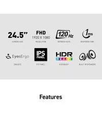 MSI PRO MP251 E2 24.5'' FHD IPS Monitor - 120Hz, HDMI, DP, VGA, specs