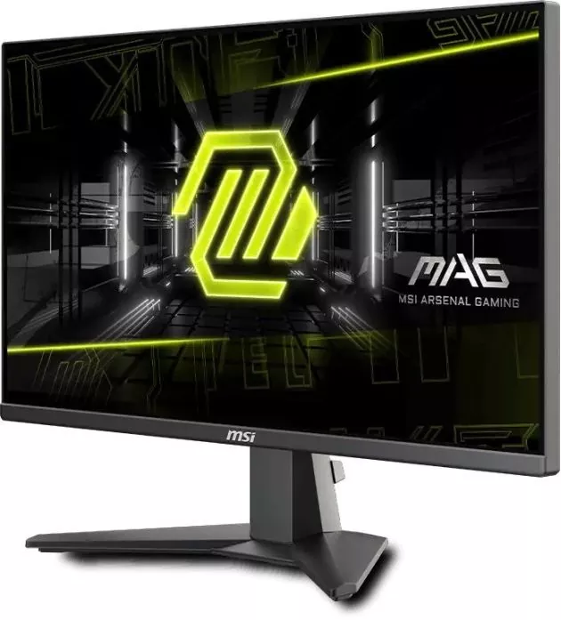 MSI MAG 255XFV 25″ Gaming Monitor 250Hz Full HD Display