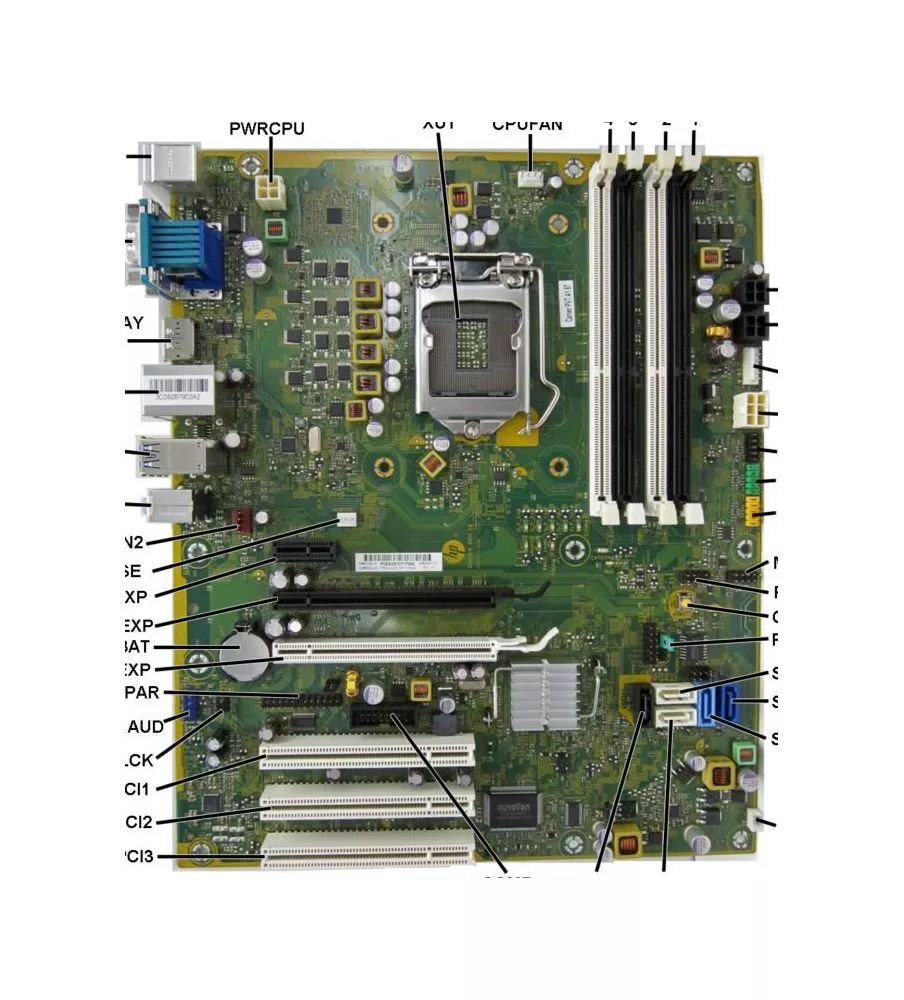 Usdt Hp Elite 8300 Tarjeta GrÃ¡fica HP Compaq Elite 8100 8200 8300 SFF  Video Graphics Card W/ Dual HDMI Adapters
