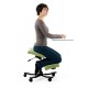 Computer Ergonomic Chair Back pain prevention Leather