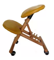 Computer Ergonomic Chair Back pain prevention Leather