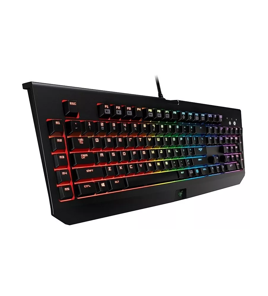 Razer BlackWidow Chroma, Clicky RGB Mechanical Gaming Keyboard, 5 Macro Keys - Razer Green Switches