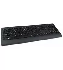 lenovo professional wireless keyboard