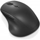 Lenovo Wireless Multimedia Mouse 600, 3 Adjustable DPI Levels, 2-Speed ​​Scroll Wheel, Ergonomic Design