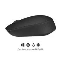 Logitech M171 Wireless Mouse compatibility